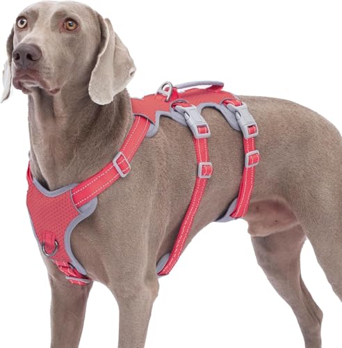 Huntboo Arnês para cães à prova de fugas, arnês seguro para cães sem fugas, arnês totalmente refletor com alça acolchoada, respirável, durável, colete ajustável para cães grandes de passeio