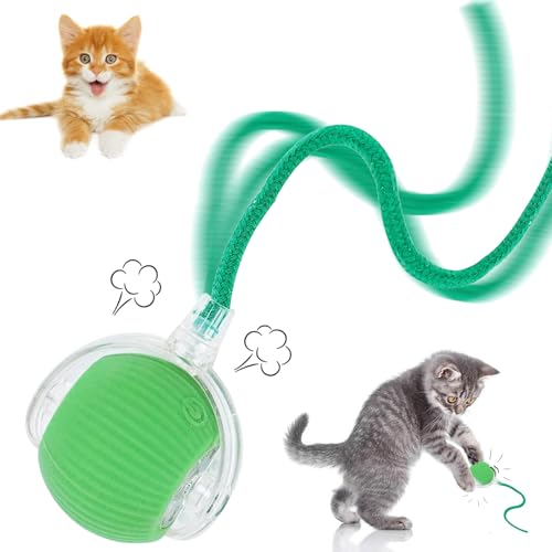 STFYUG Bola interativa cão gatos, bola viva para gato, bola gatos interativo, bola viva para gato com cauda para gatos, brinquedos para gatos Interaction Perfect for Cat Lovers (verde)