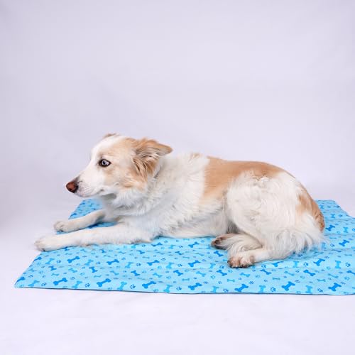 SMELL & SMILE Tapete refrescante para cão tapete de refrigeração para animais de empresa 30 * 40 cm tapete refrescante para animais de estimação (azul 30 * 40 cm)