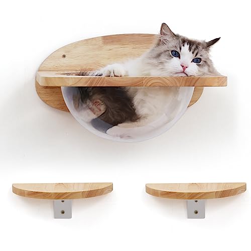 FUKUMARU Parede de escalada para gatos com cápsula espacial transparente, inclui 2 pedais, conjunto de móveis de parede em madeira de borracha maciça, adequado para dormir e escalar, suporta até 16 kg