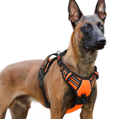 rabbitgoo Arnês cão grande com 3 fivelas, libertação do pescoço, arnês ajustável com alça e clipe frontal, arnês antipuxões para cães refletor, para treino correr, laranja, XL