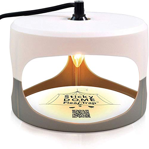 ASPECTEK Armadilha para pulgas, mata inchos, embalagem de 2 discos adesivos uso em interiores, repelente insetos - repelente pulgas humanas, livre de químicos, lâmpada anti-pulgas