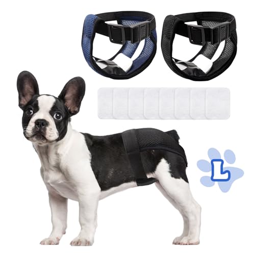 2 peças cuecas s menstruais, fraldas para cão feminino, fraldas para cães femininos, fraldas para cães femininos, cuecas para cães com céu feminino traz 8 toalhas sanitárias, reutilizável e