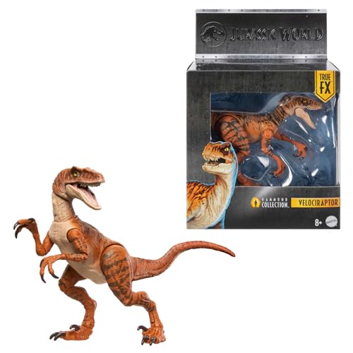 Mattel Jurassic World, Hammond Collections, tigre atrociraptor, dinossauro de brinquedo, 13 articulações e detalhes autênticos, JDJ09