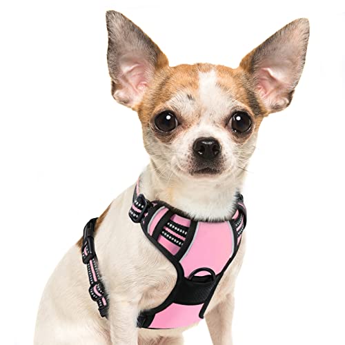 Eagloo Arnês para cães, colete anti-puxões confortável, com alça ajustável no pescoço e peito, apto para cães pequenos, material duradouro e respirável, com fita refletora, adequado para exercício no exterior, laranja