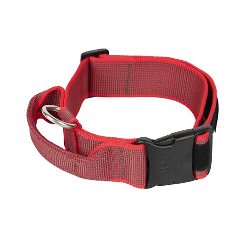 Colar cor e cinza com alça, fechadura de segurança e remendo intercambiáveis, 50 mm (49-70 cm), vermelho e cinzento