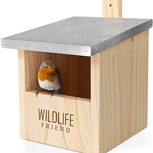 WILDLIFE FRIEND | Caixa de ninho para ruivo & Co de madeira maciça - com teto de metal - aparafusado e resistente ao intermédio, casa de pássaros e incubadora para criadores especializados