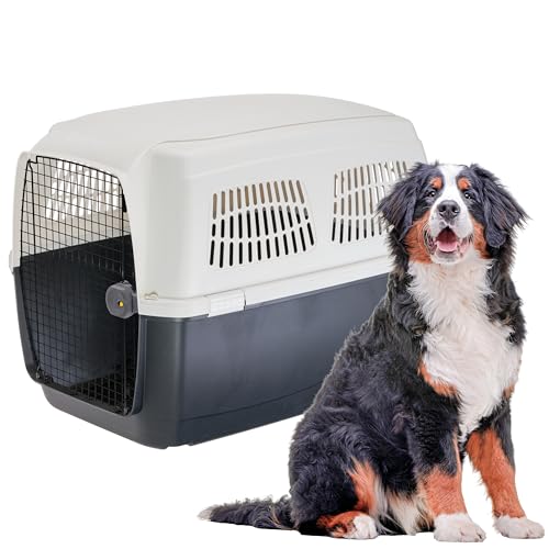 Ferplast Transporte para cães CLIPPER 7, IATA, transporte para cães grandes max 60 kg, transporte rígido, viagem animais de estimação carro avião trem, 105 x 75 x h 79 cm, porta de aço, fecho seguro