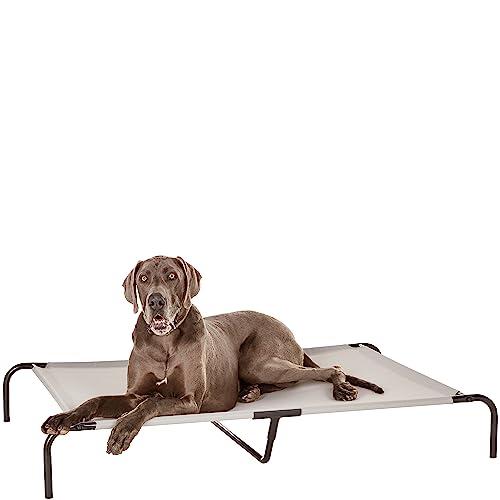 Amazon Basics Cama para cães, elevada refrescante para animais de estimação, XL, cinzento, tecido