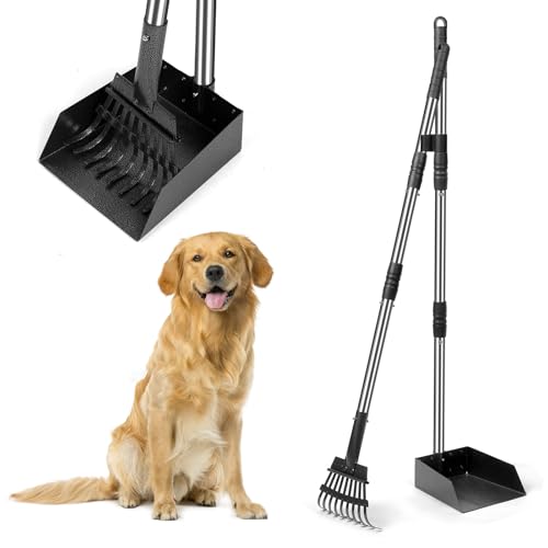 YGNNXRN Coletor de excrementos para cães, cabo longo de 96 cm, com bandeja, ancinho, conjunto de aço desmontável para cães grandes, médios e pequenos, para jardim, relvado ou cascalho