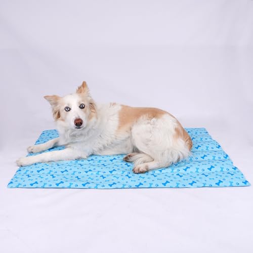 SMELL & SMILE Tapete refrescante para cão 50 * 65 cm tapete de refrigeração para animais de empresa tapete refrescante para animais de estimação (azul 50 * 65 cm)