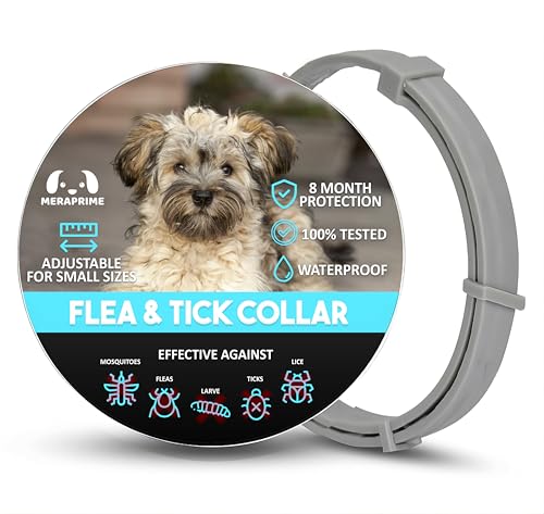 Coleira antiparasitária cães, 2 coleiras antiderrapantes de 16 meses, colar Leishmaniose (mosquitos), pulgas e carraças | cães médios e pequenos, 38 cm, ajustável, repelente de legumes, impermeável