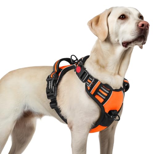 rabbitgoo Arnês médio para cão com 3 fivelas, libertação do pescoço, arnês ajustável com alça e clipe frontal, arnês antipuxões para cães refletor, para treino correr, laranja, L