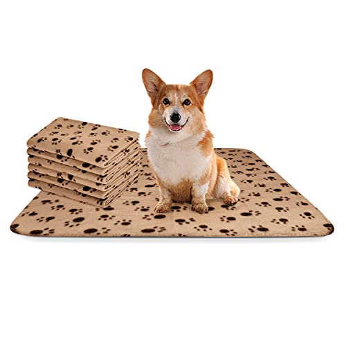 Nobleza 6 x manta macia de pelúcia para cães, gatos e outros animais de estimação. Lavável. Cor eixo, 75 x 75