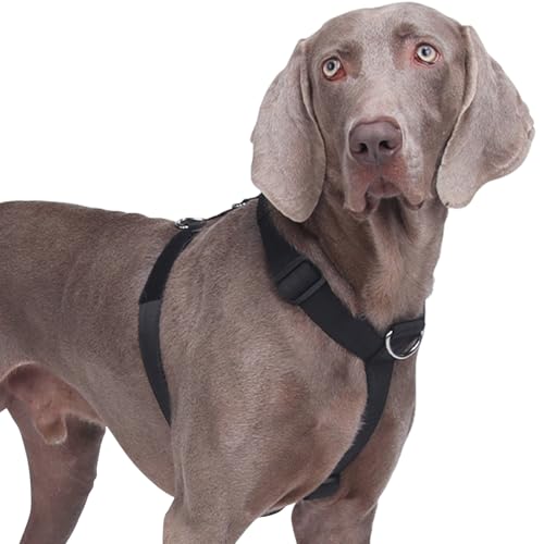 Arnês para cão médio e grande, arnês para cães peito antipuxões, arnês para cão colete acolchoado ajustável para adiesdireamento correr e caminhar (preto, L)