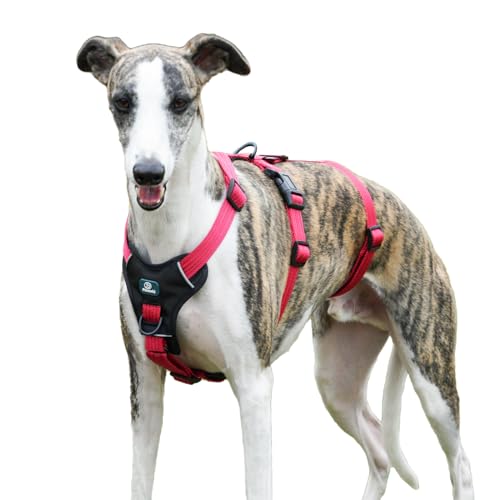Paworld Arnês anti-fuga cão, arnês antipuxões cão, arnês cão grande, ajustável, durável, respirável, sem estrangulamento, treino e passeio ao ar livre (vermelho rosa, XL)