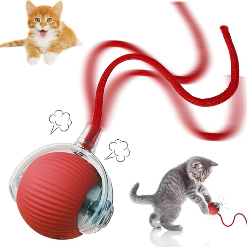 STFYUG Bola interativa cão gatos, bola viva para gato, bola gatos interativo, bola viva para gato com cauda para gatos, brinquedos para gatos Interaction Perfect for Cat Lovers (vermelho)