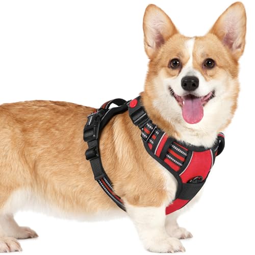 rabbitgoo Arnês para cão pequeno com 3 fivelas, libertação do pescoço, arnês ajustável com alça e clipe frontal, arnês antipuxões para cães refletores, para treino correr, vermelho, S