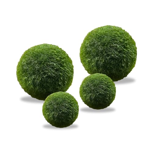 LuckyOpt 4 bolas de algas verdes ao vivo, bolas de algas naturais, para aquário, decoradas com bolas de algas verdes, para aquário, decoradas com bolas de algas vivas, 2 tamanhos (verde)