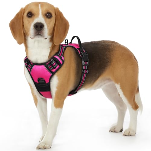 Eagloo Arnês para cães pequenos, arnês antipuxões cão anti-escape, colete acolchoado ajustável, anéis de peito e costas, material respirável com fita refletora, exercício correr, rosa vermelho