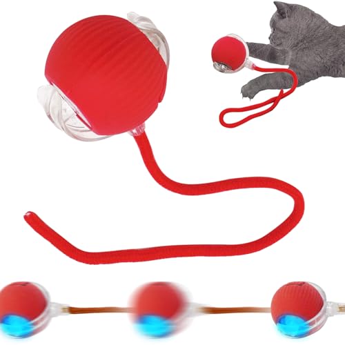 SORNEICDR Nova bola interativa para gatos, bola de brinquedo interativa de 360°, bola de rolamento automática inteligente para gatos e cães (vermelho)