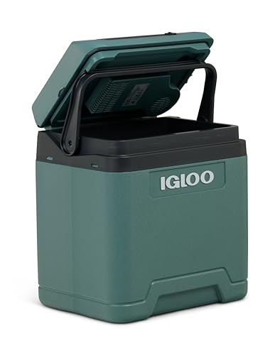 IGLOO IE27 frigorífico elétrico para carro e tomada, 27 L, 12 V e 230 V