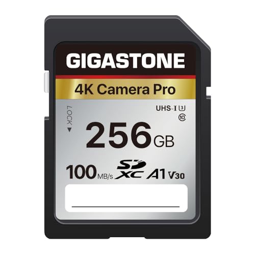Gigastone - Cartão de memória SDXC de 256 GB, câmara Pro série 4K, velocidade de transferência de até 100 MB/s. Compatível com câmara Canon Nikon Sony câmara de vídeo, A1 V30 UHS-I classe 10 para 4K