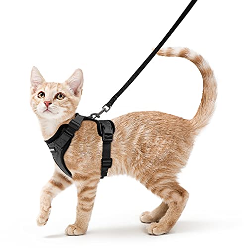 Rabbitgoo Peitoral para gatos e trela de 150 cm, ajustável, anti-puxões, confortável, material fácil de colocar e remover