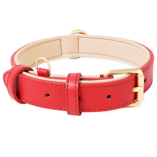HEELE Coleira de cão, coleira de cão confortável e durável, ajustável e com acolchoado suave, coleira de couro cães de raça pequenos médios e grandes, novo-vermelho, S