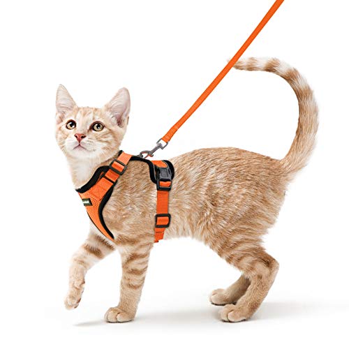 rabbitgoo Arnês para gatos anti-escape com correia de 150 cm, arnês de gato ajustável refletor, colete de tecido de malha macio e respirável, arnês de gato médio para caminhar, treino, S, laranja