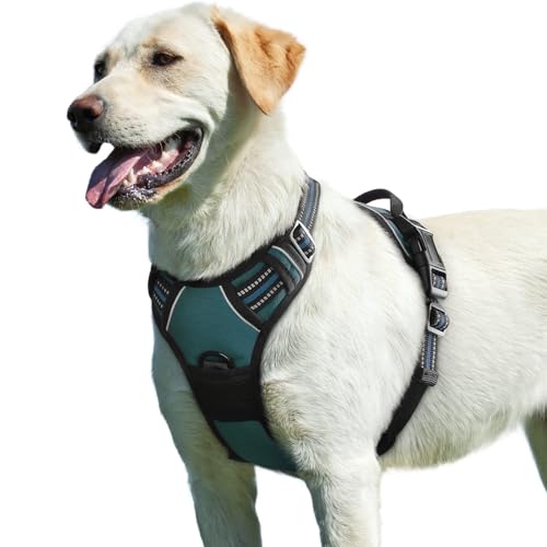 Eagloo Arnês cão grande médio, arnês antipuxões cão anti-escape, colete acolchoado ajustável, anéis de peito e costas, respirável com fita refletor, exercitar correr, L verde escuro