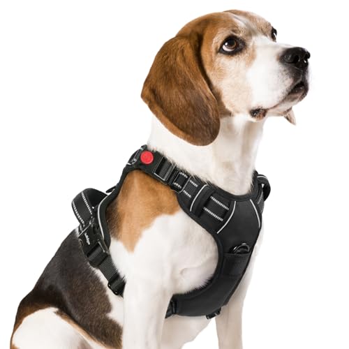 rabbitgoo Arnês médio para cão com 3 fivelas, libertação do pescoço, arnês ajustável com alça e clipe frontal, arnês antipuxões para cães refletor, para treino correr, preto, M