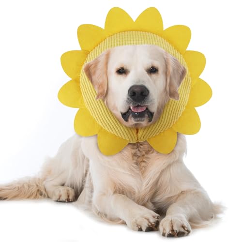 IEUUMLER Coleira de recuperação inflável cão, coleira de proteção ajustável para cão e gato recuperação de uma cirurgia evita morder e riscar EU004 (girassol, L)