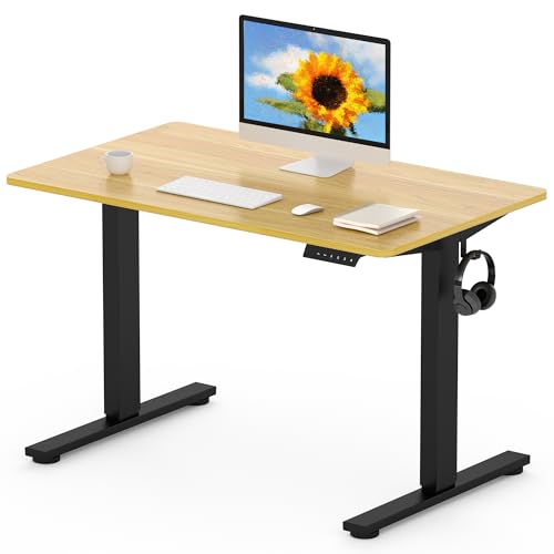 FLEXISPOT EN1 MAX, 120 x 80 cm, secretária elevável elétrica com placa inteira mesa de elevação, Standing Desk, mesa elevável secretária com 2 ganchos e 4 funções de memória