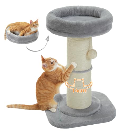 PAWZ Road Top Perch Poste arranhador para gatos, poste arranhador para gatos de 14 cm de diâmetro, árvore para gatos com grande área para arranhões, altura 60 cm, cinzento