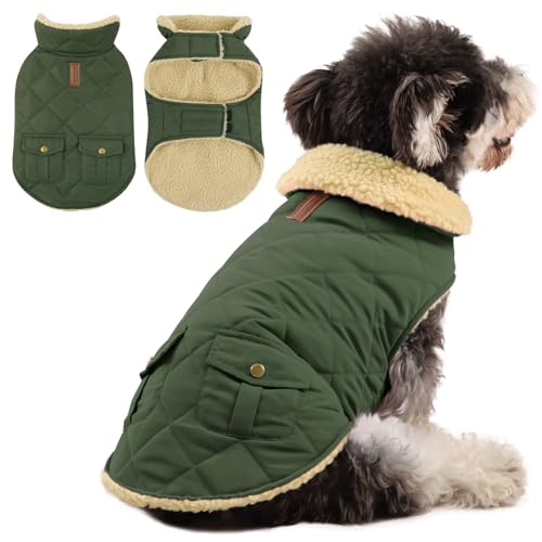 Queenmore Casaco para cão para clima frio, casaco acolchoado de inverno para cão, forro de pelúcia grosso ultra quente com bolsos de armazenamento (verde, grande)