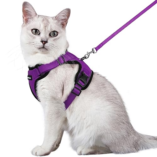 rabbitgoo Arnês para gatos anti-fuga com alça de 150 cm, Arnês de gato ajustável refletor, colete de tecido de malha macio e respirável, arnês de gato grande para caminhar, treino, M, roxo