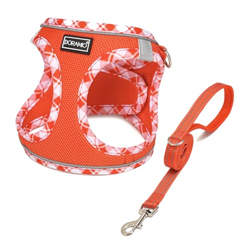 DORAMIO Arnês de cão pequeno, arnês antipuxões refletor confortável respirável arnês colete para cães pequenos gatos, cachorrinhos (XL, tangerina)