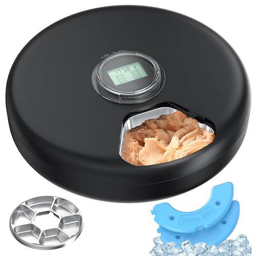 Alimentador automático gato comida húmida: Dispensador comida gatos programável - Alimentador automático cães sem cabo Temporizador - Dosificador alimentador cão refrigerado - com aço inoxidável Bol