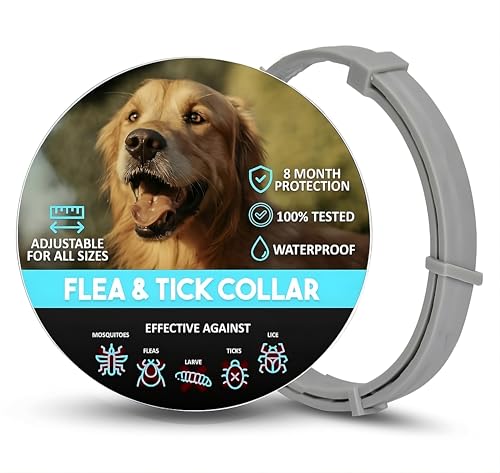 Coleira antiparasitária cães, 3 coleiras antiderrapantes 24 meses, coleira Leishmaniose (mosquitos), pulgas e carraças | cães médios e grandes, 72 cm, ajustável, repelente de legumes, impermeável