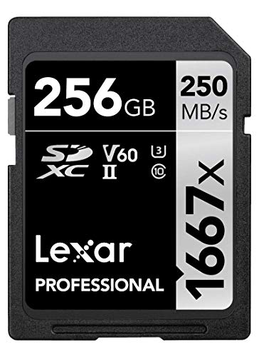 Lexar Professional 1667x Cartão de memória SD 256GB, SDXC UHS-II, até 250 MB/s de leitura, classe 10, U3, V60, SD para fotógrafo profissional, câmara de vídeo, entusiasta (LSD256CB1667)