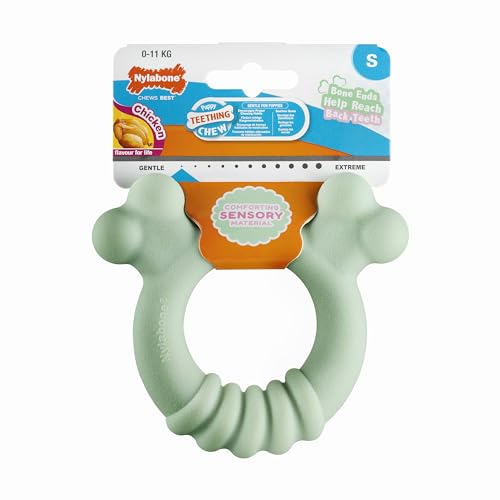 Nylabone, Mordedor para cachorros com material sensorial, brinquedo para mastigar, sabor: Frango, pequeno - para cachorros até 11 kg