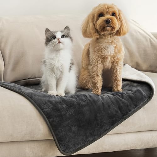 Dreamzie - Manta impermeável cão, 63 x 88 cm, manta para cães reversível e lavável, para sofá e cama - manta de cão pequeno em Sherpa - cinzento escuro