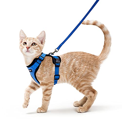 Rabbitgoo Peitoral para gatos e trela de 150 cm, ajustável, anti-puxões, confortável, material fácil de colocar e remover