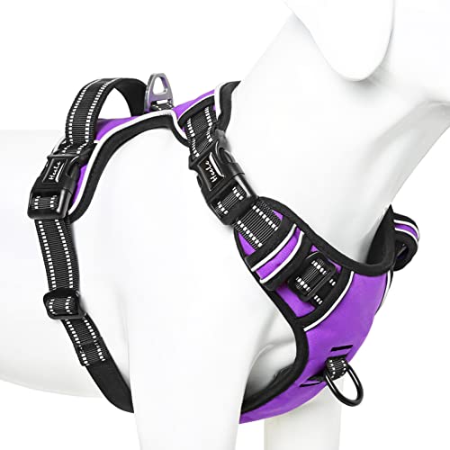 HEELE Arnês para cão médio arnês peito antipuxões arnês conforto colete para cão treino, 3 fivelas de libertação rápida, ajustável, refletor, confortável respirável, roxo, M