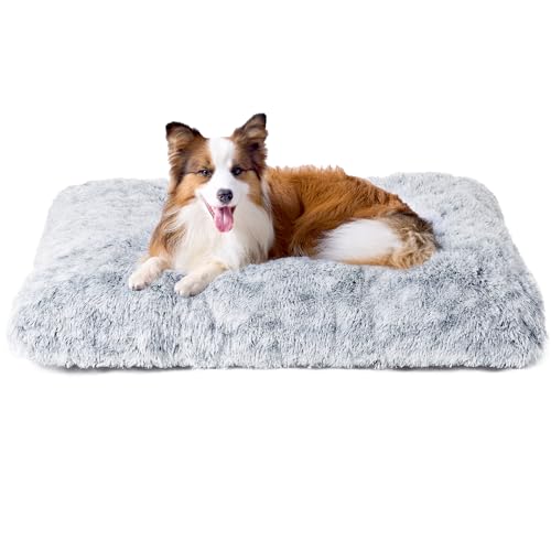 EHEYCIGA Pelúcia cama para cães grandes 90 x 60 x 9 cm, colchão e colchão cão lavável, cama de gato macia para inverno, cinzento