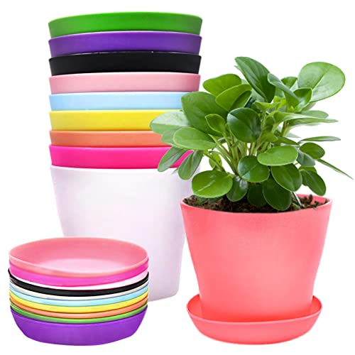 Cisolen 10 vasos de plástico coloridos com bandejas de gotejamento para mudas, plantas em miniatura para decoração de jardim, escritório, varanda, 10 cores