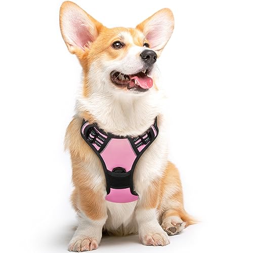 Eagloo Arnês para cães, colete anti-puxões confortável, com alça ajustável no pescoço e peito, apto para cães pequenos, material duradouro e respirável, com fita refletora, adequado para exercício no exterior, laranja