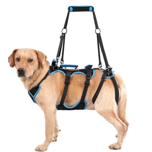 Lafoty Arnês de elevação para cães machos grandes – Arnês 2 em 1 de ajuda para elevar, suporte para as patas traseiras e assistência em mobilidade para cães idosos (preto, grande)