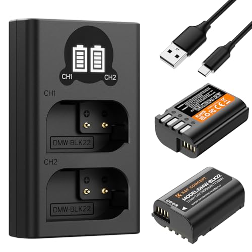 K&F Concept DMW-BLK22 Bateria de substituição 2-Pack com carregador LCD duplo Slot, compatível com Panasonic Lumix DC-S5 DC-S5 II DC-S5 IIX GH5 II GH6 S5II S5M2 GH5M2, etc.